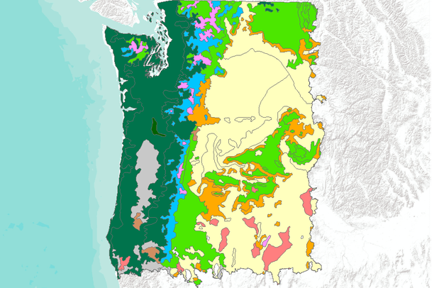 Potential Natural Vegetation Original Kuchler Types To MC1 Vegetation Potential Natural Vegetation Original Kuchler Types To MC1 Vegetation
