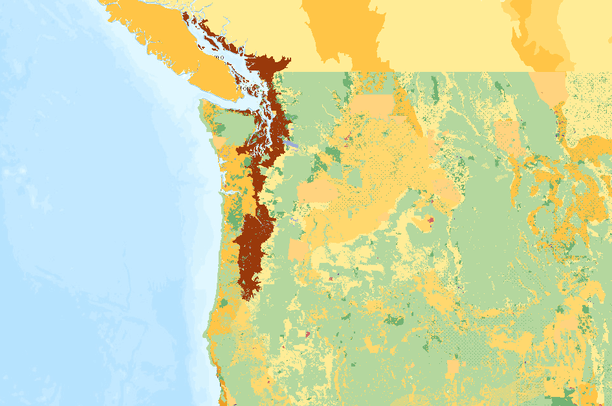 preview.png?v=1391305774