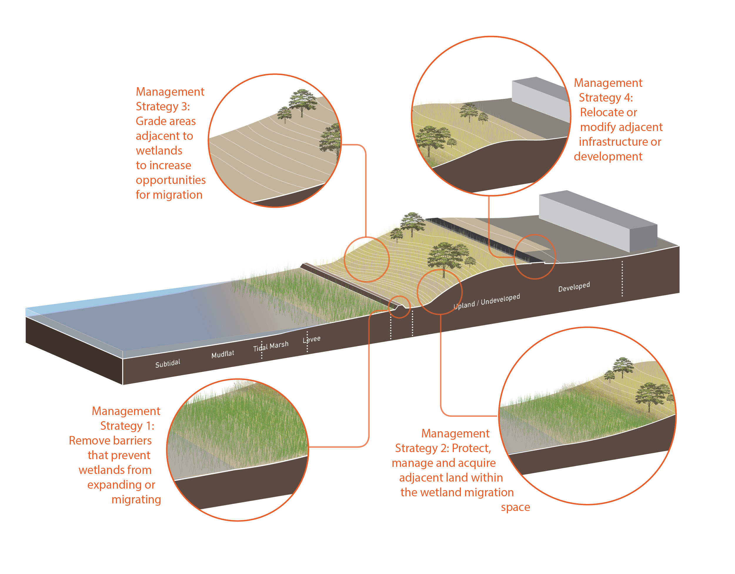 Goal 1 Tidal Wetlands SCWRP MAPT