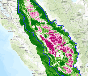 San Joaquin Least Conflict Solar Environmental Conservation Model Results and Inputs