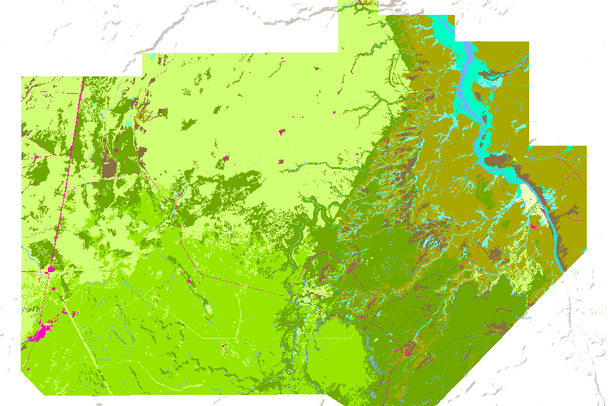 Colorad Treemap Colorado Vegetation Map Spatial Vegetation Data For Mesa Verde
