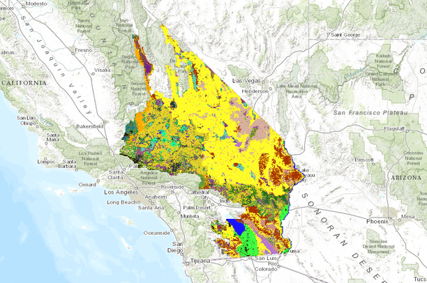Land Cover/Natural Vegetation Communities (NVCS Name - Raster), DRECP ...