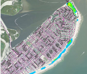 Protection of Critical Beach-nesting Bird Habitats in the Wake of Severe Coastal Storms