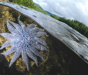 Coastal and Marine Resources