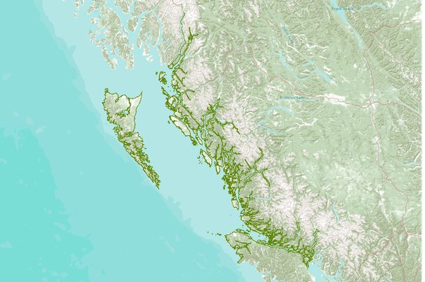 Shorezone Ecoregional Conservation Assesment: Coast Team Ecosystem ...