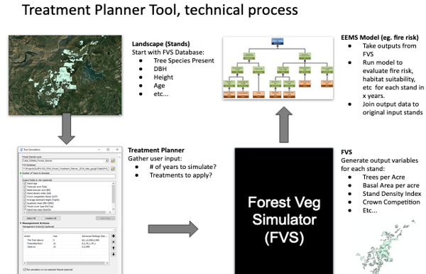 The Forest Resilience Treatment Planner Prototype Thumbnail