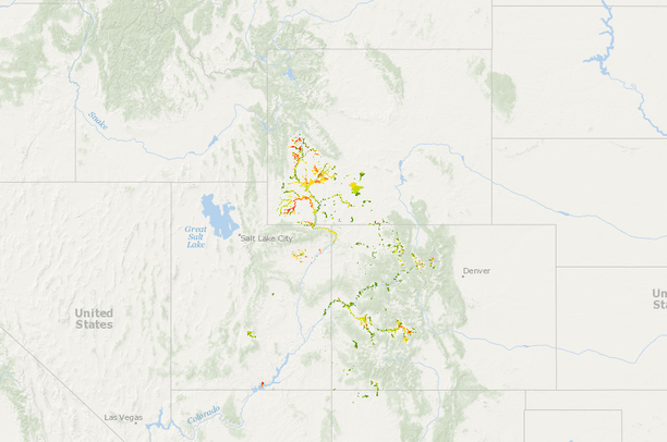 Conservation Assessment for Native Fish in the Upper Colorado River Basin