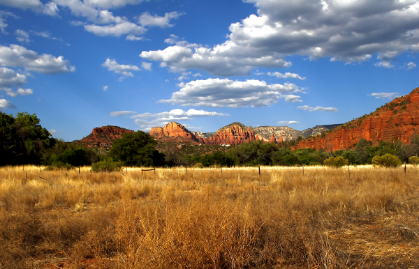 MC1 Dynamic Global Vegetation Model Thumbnail