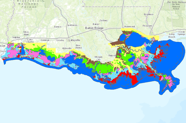 2013 Louisiana Coastal Marsh Vegetative Type Map Data Basin Map Of Louisiana Coast