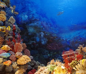 Marine Blueprint and Conservation Assets