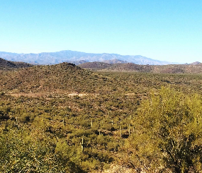 Landscape-scale monitoring