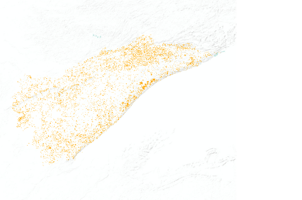 Maple Ridge Emissions Reduction Minnesota (USA) Climate Change Project: Sugar Maple at Year 50 (2045 ...