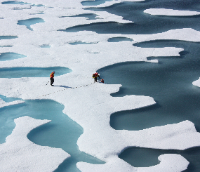 Resilience to Climate Change and Landscape Permeability