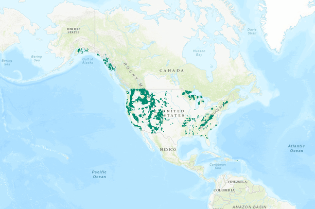 Nation Forest Service Trails - Preview 