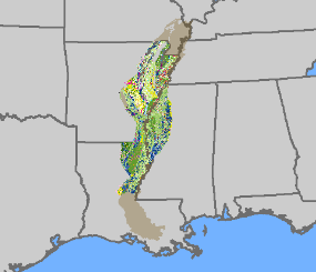 Potential Natural Vegetation of the Mississippi Alluvial Valley