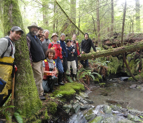 Discovery Islands Ecosystem Mapping Project, British Columbia