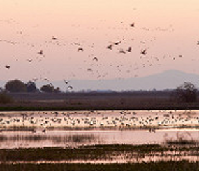 San Joaquin Valley Greenprint