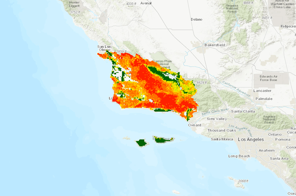 Tsunami warning bay area