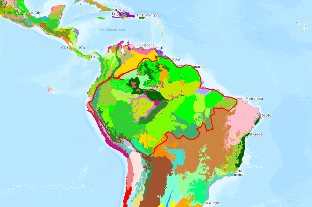 ecore bon | Data Basin
