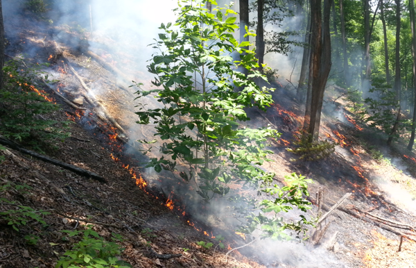 Featured Projects in North Carolina Thumbnail