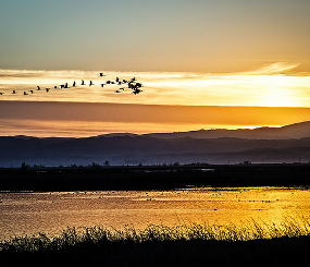 Landscapes and Climate