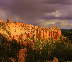 PAD-US 1.1 (CBI Edition)