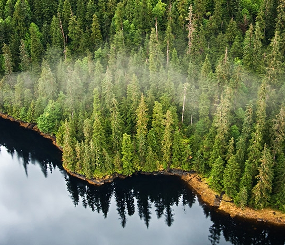 Transitioning to a Second Growth Timber Strategy in SE Alaska