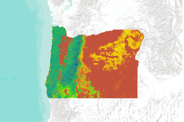 Oregon Biom Map Aboveground live forest biomass (Mg C/ha) for Oregon, USA | Data Basin
