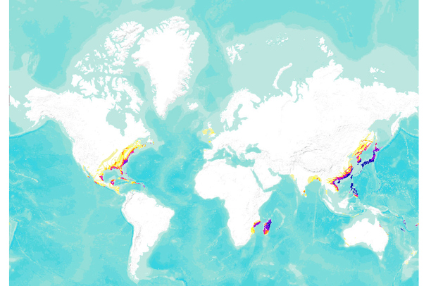 Cyclone Map World Global Cyclone Hazard Frequency and Distribution | Data Basin