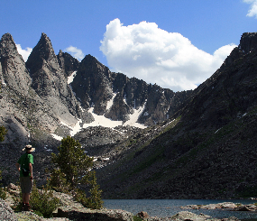 Wildlands Network Design