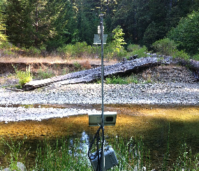 BatAMP -- Acoustic Monitoring Portal