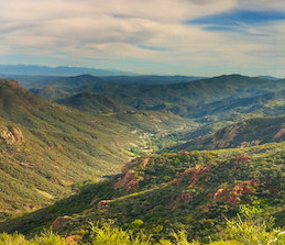 Santa Monica Mtns Fire Recovery and Adaptation Program