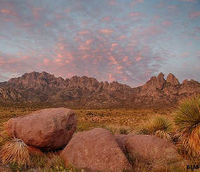 The Impact of Ecosystem Water Balance on Desert Vegetation: Quantification of historical patterns and projection under climate change