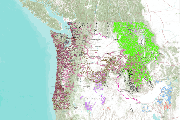 Fish Distribution In The Columbia River Basin And The Pacific Northwest Usa Data Basin Columbia River Fishing Map