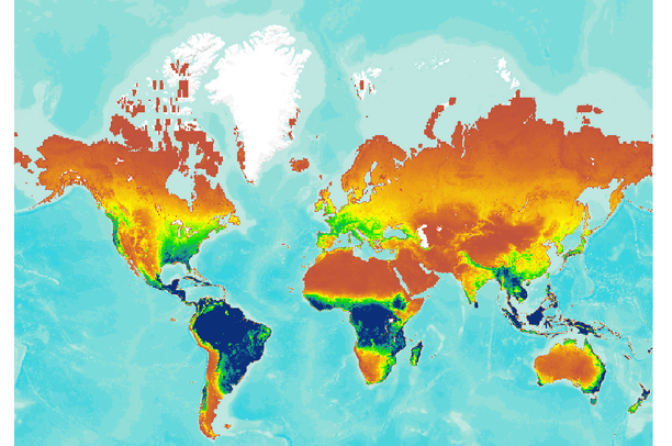 Note how mangrove coasts and tropical wetlands show the highest productivity (dark green)