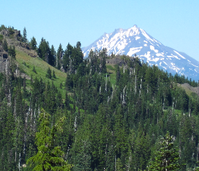 Integrated scenarios of climate, hydrology, and vegetation for the western US