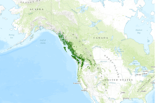 Alaska Mountain Range Map Alaska Mountain Range Map