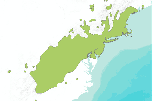 Pinus Rigida Range Map Pitch pine (Pinus rigida) extent, North America | Data Basin