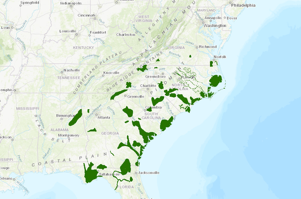 Determining Priority Amphibian and Reptile Conservation Areas (PARCAs