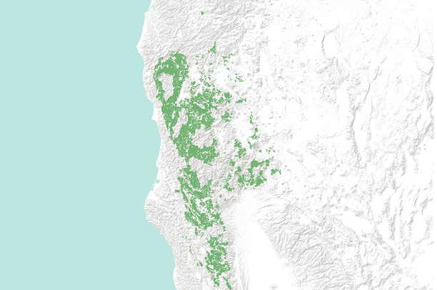 Klamath-Siskiyou conservation assessment, 1999