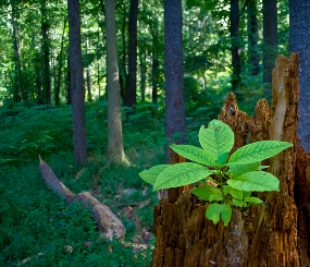 Conservation Lands of California