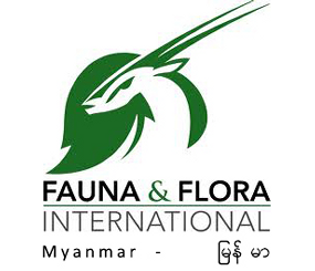 FFI Myanmar
