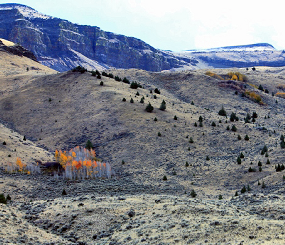 Greater Sheldon-Hart Mountain Resilient Landscapes Collaborative