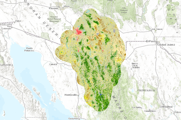 Sky Islands Arizona Map Transboundary Land Cover Dataset For The Sky Islands Ecoregion | Desert Lcc  Cpa