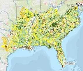 Mapping the South's Forests of the Future