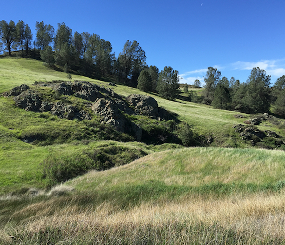 La Kretz Research Center at Sedgwick Reserve