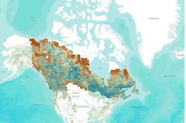 Canadian Boreal Forest Fragmentation | Data Basin