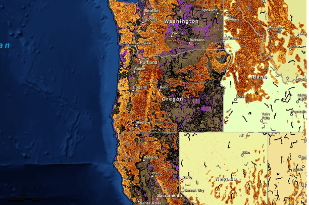 Pacific Northwest MAPS Network - MacGillivray's Warbler | Data Basin