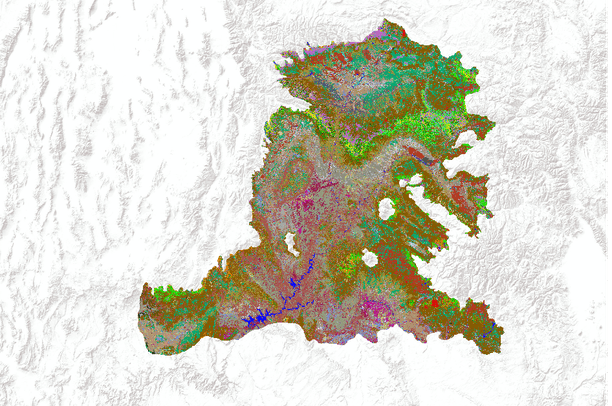 Colorado Vegetation Map