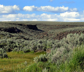 Northwest Basin and Range Science Synthesis Group